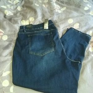Lane bryant plus jeans